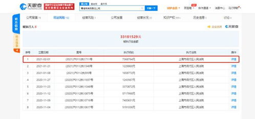 蛋殼公寓關聯(lián)公司再遭執(zhí)行，信息技術背后的租賃風波